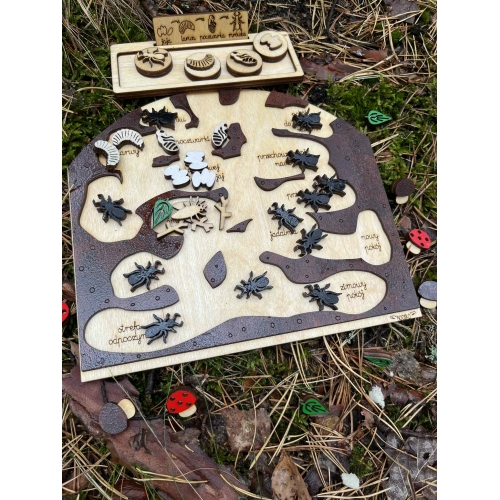 Drewniane Mrowisko (małe )– Edukacyjna Przygoda w Świecie Mrówek! (zestaw malowany)